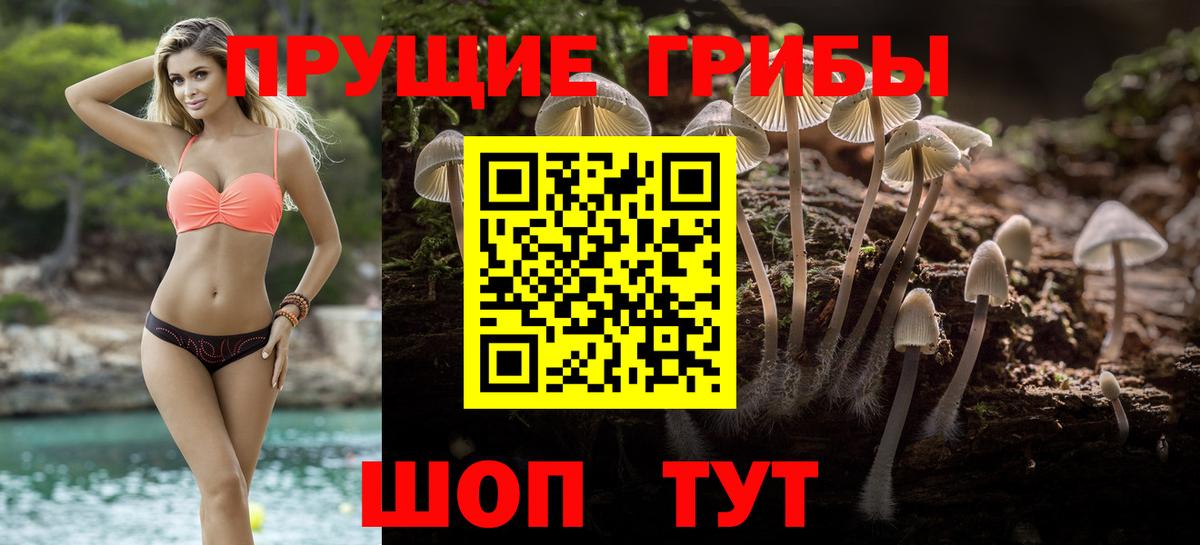 Сегежа  Галлюциногенные грибы GOLDEN TEACHER  Вход с VPN  Галлюциногенные грибы Psilocybe 